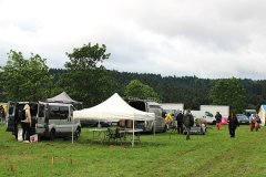 t_IMG_5150.jpg